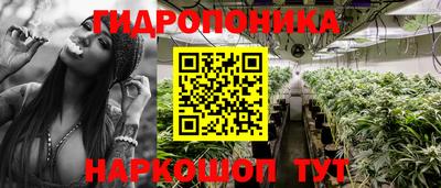 apvp Камышлов