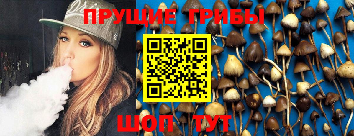 Галлюциногенные грибы Psilocybe  Галлюциногенные грибы ЛСД  Лабытнанги  Вход с VPN 